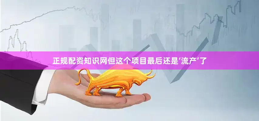 正规配资知识网但这个项目最后还是‘流产’了