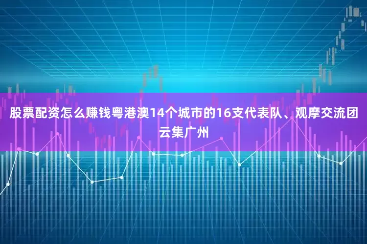 股票配资怎么赚钱粤港澳14个城市的16支代表队、观摩交流团云集广州