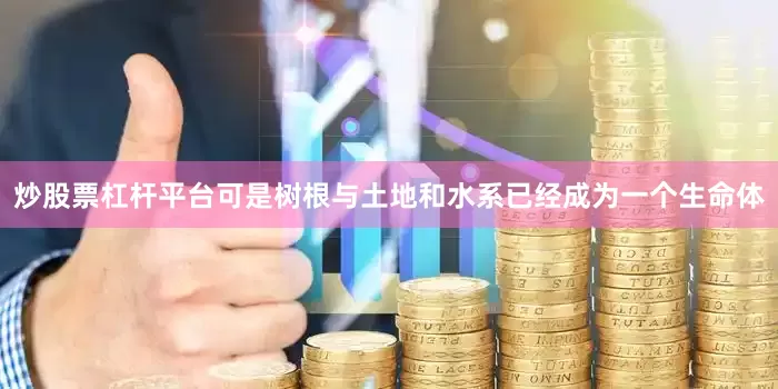 炒股票杠杆平台可是树根与土地和水系已经成为一个生命体
