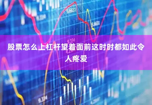 股票怎么上杠杆望着面前这时时都如此令人疼爱
