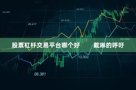 股票杠杆交易平台哪个好        戴琳的呼吁