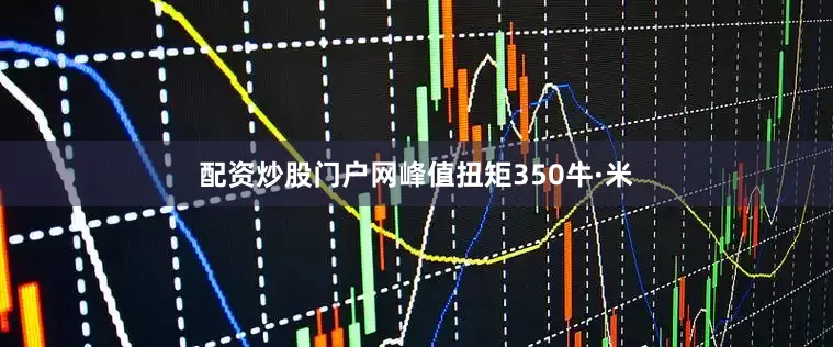 配资炒股门户网峰值扭矩350牛·米