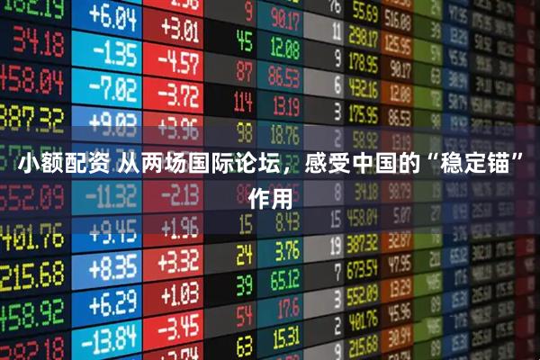 小额配资 从两场国际论坛，感受中国的“稳定锚”作用