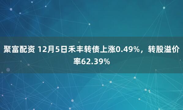 聚富配资 12月5日禾丰转债上涨0.49%,转股溢价率62.39%